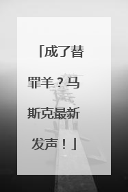 成了替罪羊？马斯克最新发声！