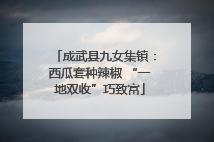 成武县九女集镇：西瓜套种辣椒 “一地双收”巧致富