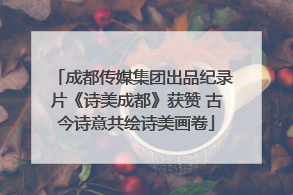 成都传媒集团出品纪录片《诗美成都》获赞 古今诗意共绘诗美画卷
