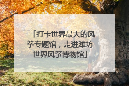 打卡世界最大的风筝专题馆，走进潍坊世界风筝博物馆