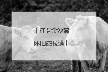 打卡金沙窝 怀旧感拉满