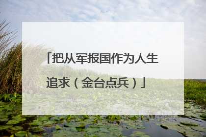 把从军报国作为人生追求（金台点兵）