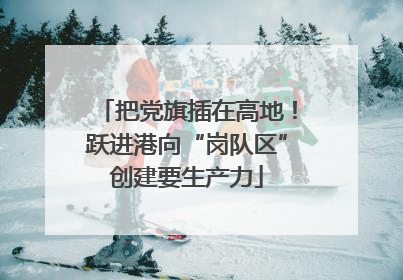 把党旗插在高地！跃进港向“岗队区”创建要生产力