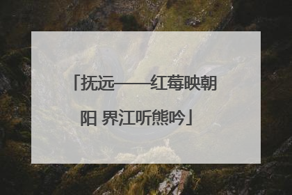 抚远——红莓映朝阳 界江听熊吟