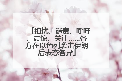 担忧、谴责、呼吁、震惊、关注……各方在以色列袭击伊朗后表态各异