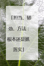 担当、韧劲、方法：根本还是抓落实