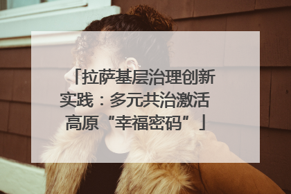 拉萨基层治理创新实践：多元共治激活高原“幸福密码”