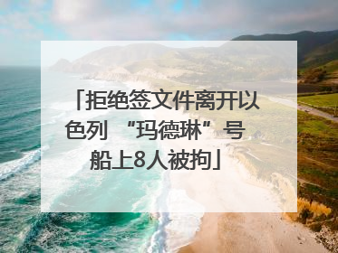 拒绝签文件离开以色列 “玛德琳”号船上8人被拘