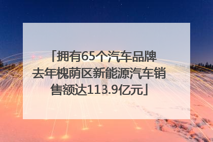 拥有65个汽车品牌 去年槐荫区新能源汽车销售额达113.9亿元