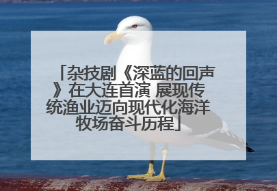 杂技剧《深蓝的回声》在大连首演 展现传统渔业迈向现代化海洋牧场奋斗历程
