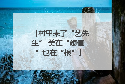 村里来了“艺先生” 美在“颜值”也在“根”