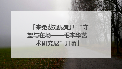 来免费观展吧！“守望与在场——毛本华艺术研究展”开幕