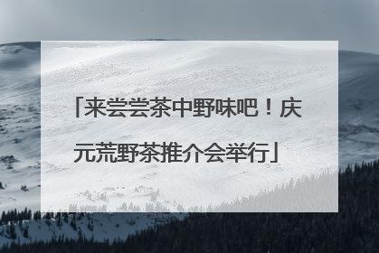 来尝尝茶中野味吧！庆元荒野茶推介会举行
