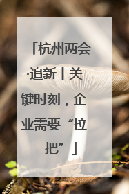 杭州两会·追新丨关键时刻，企业需要“拉一把”