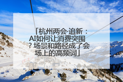 杭州两会·追新：AI如何让消费突围？场景和路径成了会场上的高频词