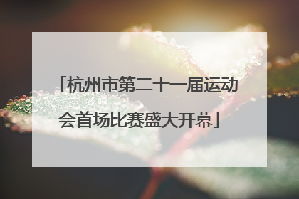 杭州市第二十一届运动会首场比赛盛大开幕