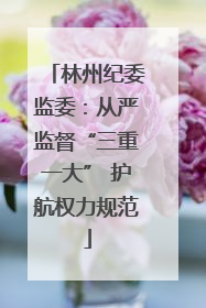 林州纪委监委：从严监督“三重一大” 护航权力规范
