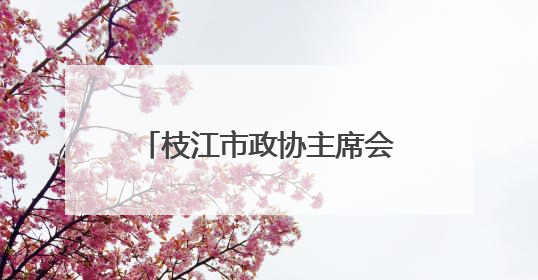 枝江市政协主席会议成员视察电力保障能力建设情况