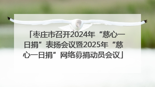 枣庄市召开2024年“慈心一日捐”表扬会议暨2025年“慈心一日捐”网络募捐动员会议