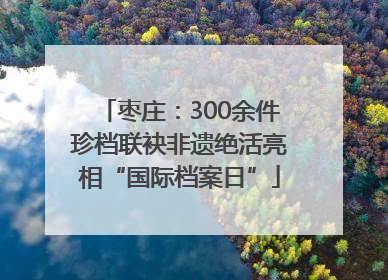 枣庄：300余件珍档联袂非遗绝活亮相“国际档案日”