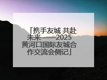 携手友城 共赴未来——2025黄河口国际友城合作交流会侧记