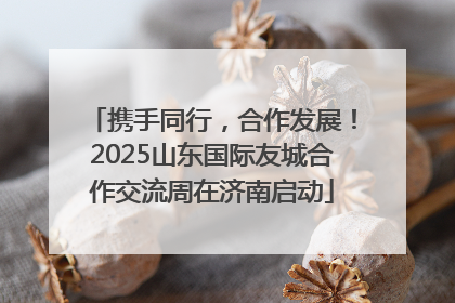 携手同行，合作发展！2025山东国际友城合作交流周在济南启动