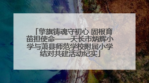 擎旗铸魂守初心 固根育苗担使命——天长市炳辉小学与萧县师范学校附属小学结对共建活动纪实
