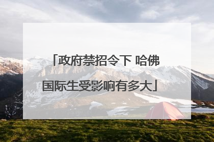 政府禁招令下 哈佛国际生受影响有多大