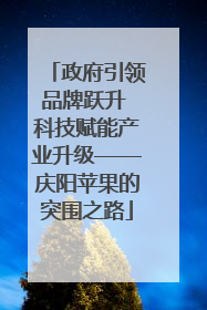 政府引领品牌跃升 科技赋能产业升级——庆阳苹果的突围之路