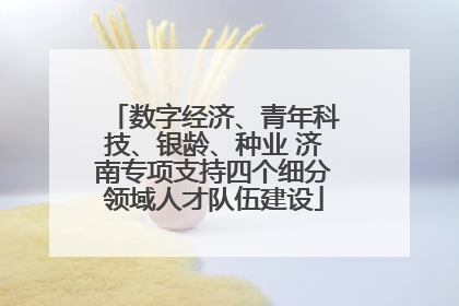 数字经济、青年科技、银龄、种业 济南专项支持四个细分领域人才队伍建设