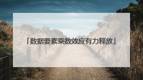 数据要素乘数效应有力释放