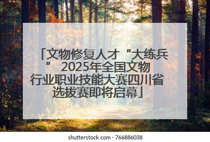 文物修复人才“大练兵” 2025年全国文物行业职业技能大赛四川省选拔赛即将启幕