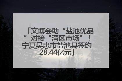 文博会助“盐池优品”对接“湾区市场”！宁夏吴忠市盐池县签约28.44亿元