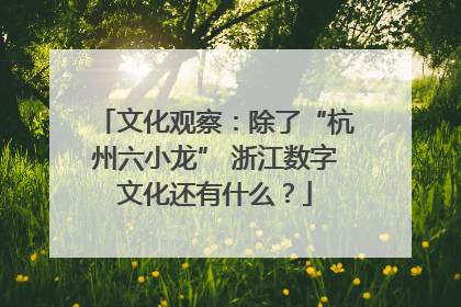 文化观察：除了“杭州六小龙” 浙江数字文化还有什么？