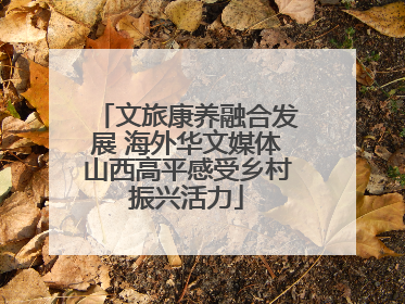 文旅康养融合发展 海外华文媒体山西高平感受乡村振兴活力
