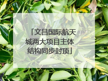 文昌国际航天城两大项目主体结构同步封顶