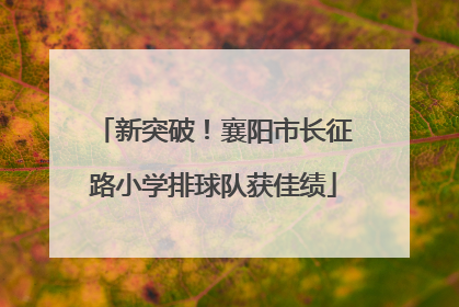 新突破！襄阳市长征路小学排球队获佳绩