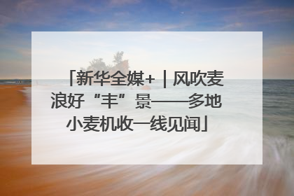 新华全媒+｜风吹麦浪好“丰”景——多地小麦机收一线见闻