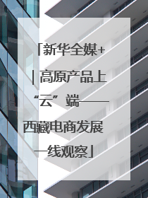 新华全媒+｜高原产品上“云”端——西藏电商发展一线观察