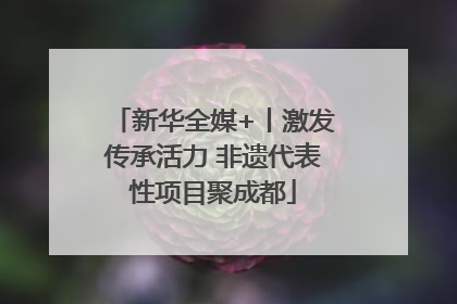 新华全媒+丨激发传承活力 非遗代表性项目聚成都