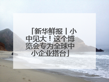 新华鲜报丨小中见大！这个博览会专为全球中小企业搭台