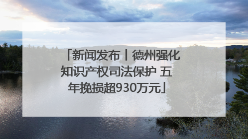 新闻发布丨德州强化知识产权司法保护 五年挽损超930万元