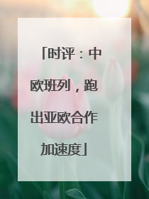 时评：中欧班列，跑出亚欧合作加速度