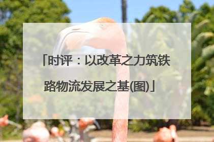 时评：以改革之力筑铁路物流发展之基(图)