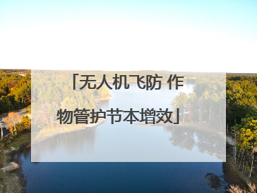 无人机飞防 作物管护节本增效