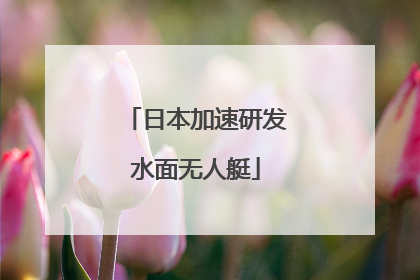 日本加速研发水面无人艇