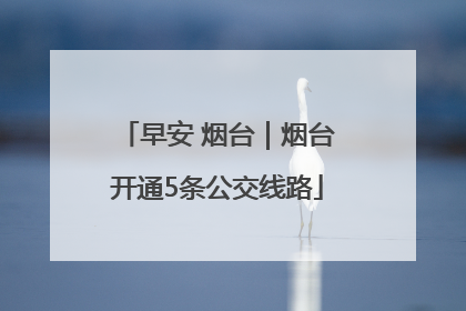 早安 烟台｜烟台开通5条公交线路