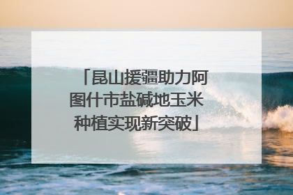 昆山援疆助力阿图什市盐碱地玉米种植实现新突破