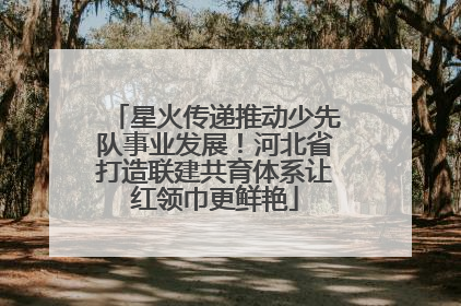 星火传递推动少先队事业发展！河北省打造联建共育体系让红领巾更鲜艳