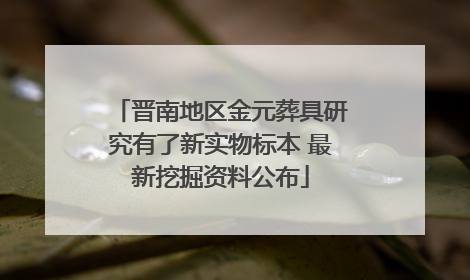 晋南地区金元葬具研究有了新实物标本 最新挖掘资料公布